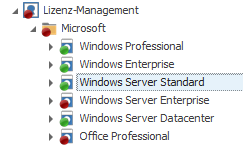 Windows Server Standard im LOGINventory Lizenzmanagement auswählen