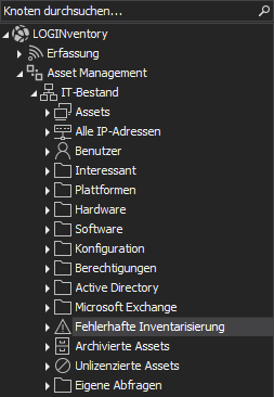 Abfrage Fehlerhafte Inventarisierung