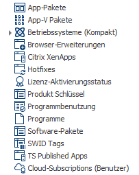 Software-Inventarisierung